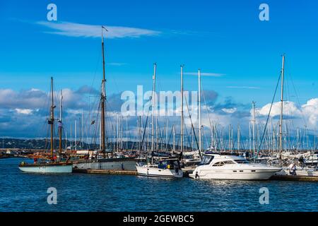 Brixham Marina und Hafen, Torbay, Devon, England Stockfoto