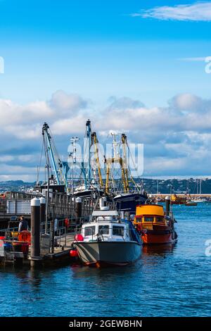 Fischerboot in Brixham Marina und Hafen, Torbay, Devon, England Stockfoto