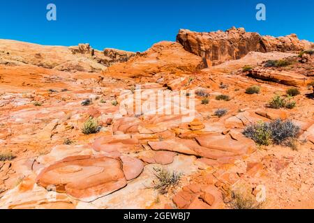 Farbenfrohe Slick Rock Formationen in der Nähe der Upper Fire Canyon Wash, Valley of Fire State Park, Nevada, USA Stockfoto