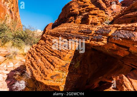 Erosionsmuster bildeten sich im aztekischen Sandstein der Calico Hills, Red Rock Canyon NCA, Las Vegas, Nevada, USA Stockfoto