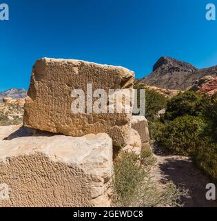 Blöcke aus aztekischem Sandstein in der Nähe des Sandsteinbruchs mit Turtlehead Peak in the Distance, Red Rock Canyon NCA, Las Vegas, USA Stockfoto