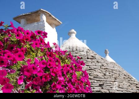 Das Dach eines Trullo in Alberobello, Apulien, Süditalien, mit rosa Petunia-Blumen im Vordergrund - traditionelle Kalksteinhäuser mit gewölbtem Dach Stockfoto