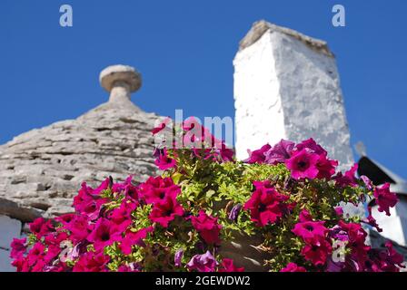 Das Dach eines Trullo in Alberobello, Apulien, Süditalien, mit rosa Petunia-Blumen im Vordergrund - traditionelle Kalksteinhäuser mit gewölbtem Dach Stockfoto