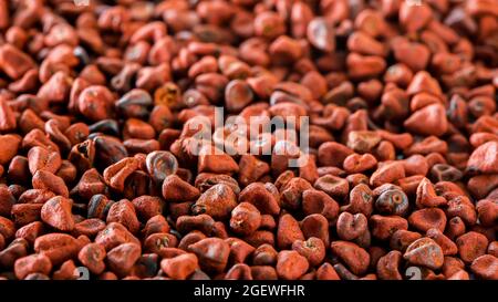 Annatto Seed Makro Nahaufnahme Hintergrund Stockfoto