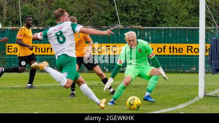 Action von Isthmian Premier League Fußball: Bognor Regis Town Football Club. Die Nummer 8 schießt um das Tor, während der Torwart den Ball anschaut. Stockfoto