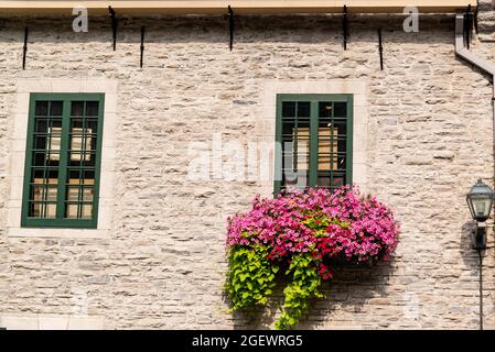 Quebec, Kanada - Juli 21 2021: Fassade eines gemauerten Hauses mit Bakonen, die mit wunderschönen Blumen geschmückt sind, in der Innenstadt von Quebce City Stockfoto