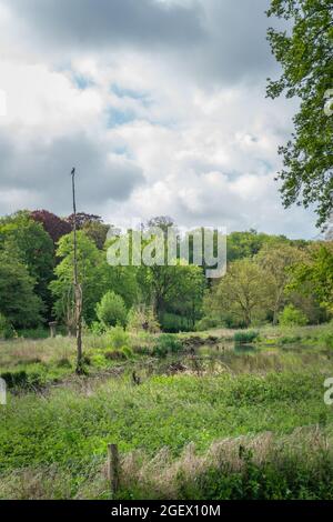 Schwarzer Kormoran an einem hohen Aussichtspunkt mit Blick über das Hemelbeek-Tal (Heavenbrook Stream) in einer Frühlingslandschaft. Oriëntation Porträt . Elsloo wo Stockfoto