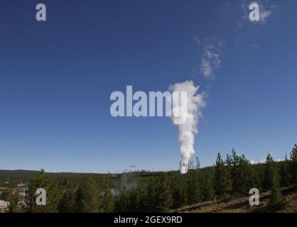 Dampfphase des Dampfschiffes Geyser, Norris Geyser Basin ; Datum: 4. September 2014 Stockfoto