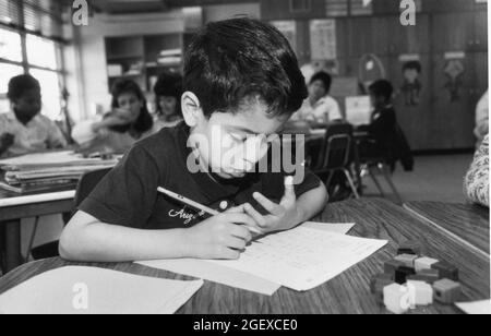 Austin Texas USA, um 1993: Junge in der zweiten Klasse Mathematik mit den Fingern. Original in Farbe ©Bob Daemmrich Stockfoto