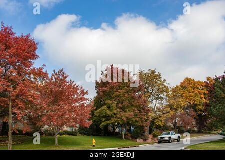 Wohnviertel Straße an schönen Herbsttag mit blauem bewölktem Himmel und weißen LKW geparkt Stockfoto