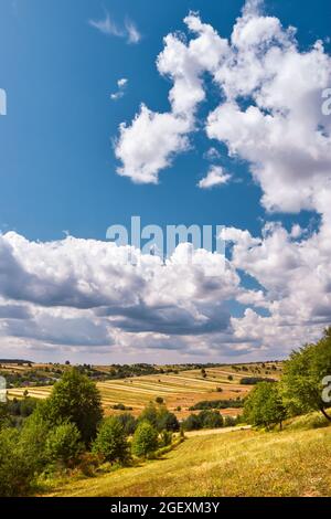 Schöne Aussicht auf ein landwirtschaftliches Feld in der Zeit der Ernte. Flache Hügel überwuchert mit Korn gegen blauen, wolkigen Himmel. Sonniger Sommertag in Zwierzy Stockfoto