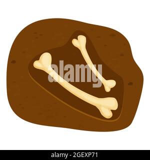 Knochen fossil, unterirdische Archäologie graben, Dino im Cartoon-Stil isoliert auf weißem Hintergrund. Prähistorische Ausstellung, Schatzsucher. Vektorgrafik Stock Vektor