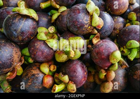 Purple Mangostan Frucht (Garcinia Mangostana) zum Verkauf auf einem lokalen Markt, Sabah, Borneo Stockfoto