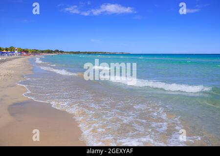 Die schönsten Sandstrände Apuliens in Italien: Alimini Beach an der Küste des Salento. Stockfoto