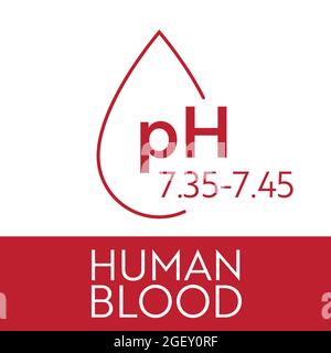 PH-Bereich des menschlichen Blutes. Medizinisches Diagramm und Maßstab. Saures, normales, Akalindiagramm. Stock Vektor