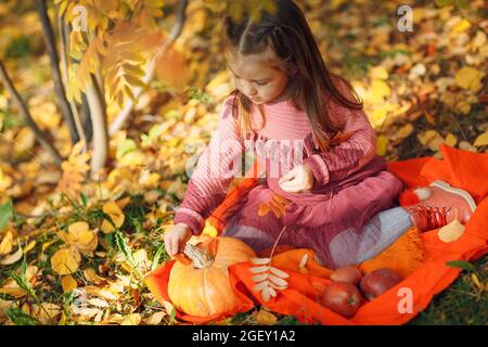 Niedliches kleines Mädchen, das im Herbstpark auf Laub sitzt und mit orangefarbenen Blättern und gelbem Kürbis spielt Stockfoto