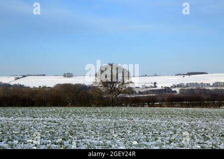 Blick in Richtung North Downs über schneebedecktes Feld von Feldern in der Nähe von Lees Road, Brabourne Lees, Ashford, Kent, England, Vereinigtes Königreich Stockfoto