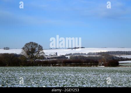 Blick in Richtung North Downs über schneebedecktes Feld von Feldern in der Nähe von Lees Road, Brabourne Lees, Ashford, Kent, England, Vereinigtes Königreich Stockfoto