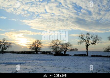 Bäume in der Abenddämmerung im schneebedeckten Feld von Lees Road, Brabourne Lees, Ashford, Kent, England, Vereinigtes Königreich Stockfoto