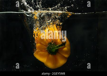 Großer gelber Paprika fällt ins Wasser, frischer gelber Paprika spritzt auf schwarzem Grund ins Wasser. Stockfoto