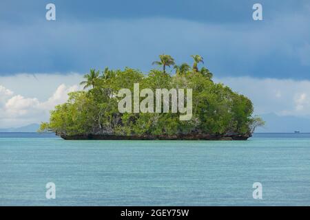 Kleine Paradiesinsel, bedeckt mit tropischem Wald, umgeben von blauem Wasser an einem bewölkten Tag, Raja Ampat, West Papua, Indonesien Stockfoto