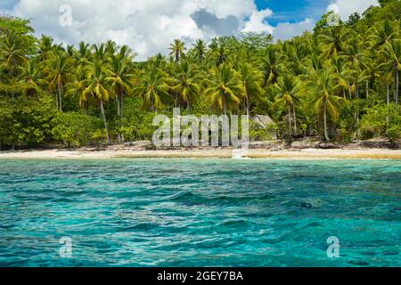 Weißer Korallenstrand, umgeben von tropischen grünen Palmen und türkisblauem Wasser an einem sonnigen Tag, Raja Ampat, West Papua, Indonesien Stockfoto