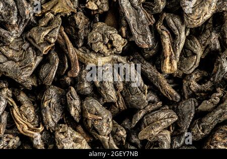 Grüner Büchsenpulvertee, trockene Blätter unter dem Mikroskop, Bildbreite 23mm. Stockfoto