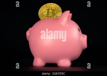 Goldenes Bitcoin mit Sparschwein. Investitionskonzept für Kryptowährungen. Virtuelles Geld. Kryptowährungssparen Sparschwein Finanzbankkonzept auf Schwarz Stockfoto