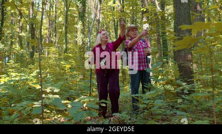 Ältere ältere alte Großmutter Großvater trainiert Nordic Walking mit Ski-Trekkingstöcken in Holz Stockfoto