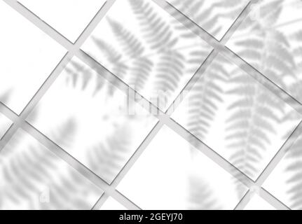 Weiße, diagonale, rechteckig anliegende Postermockups auf neutralem grauen Boden (Draufsicht) mit weichen tropischen Pflanzen-Schatten. Weiße leere Blanks Mock up in grau Stockfoto