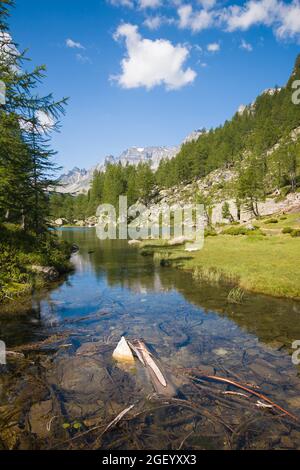 Speichern Download Vorschau idyllischer Blick auf den kleinen See bei Crampiolo, bekannt als Lago delle Streghe, Alpe Devero, Antigorio-Tal, Piemont, Italien Stockfoto