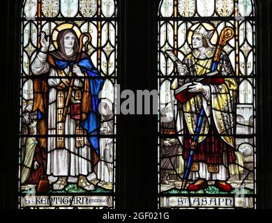 Buntglasfenster mit St. Kentigern, auch bekannt als St. Mungo und St. Asaph, in der St Asaph Cathedral, Wales Stockfoto