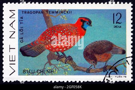 VIETNAM - UM 1979: Eine in Vietnam gedruckte Briefmarke zeigt Temmincks Tragopan, Tragopan Temminckii, Bird, um 1979 Stockfoto