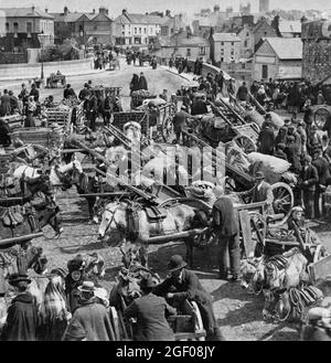 Pferde, Karren und Einheimische auf einem Gemüsemarkt neben der Brücke über den Fluss Shannon in Athlone, einer Stadt an der Grenze zwischen der Grafschaft Roscommon und der Grafschaft Westmeath, Irland. Stockfoto