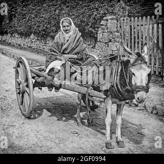 Eine Szene aus dem frühen 20. Jahrhundert, in der eine ältere Frau auf ihrem Eselskarren in der Grafschaft Kerry, Irland, zu sehen ist. Stockfoto