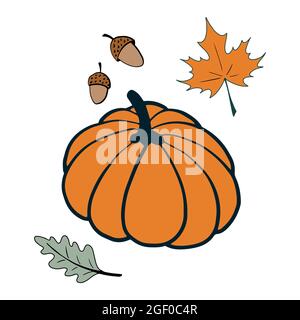 Kürbis und Blätter Doodle Set. Isoliert auf weißem Hintergrund. Stock Vektor