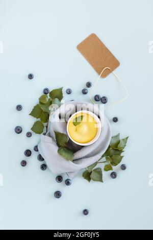 Vertikale Lebensmittelkomposition mit vegan, Fruchteis, Blättern und Blaubeeren auf blauem Hintergrund mit Platz für Text. Milchfrei, Mango-Eis o Stockfoto