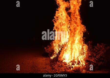 Eine Nahaufnahme von kleinen Ästen, die auf dem Boden brennen, mit großen, lebendigen Flammen, die aus ihnen herauskommen Stockfoto