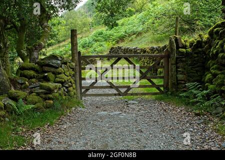Ein Tor mit fünf Bars, umgeben von einer sehr moosbedeckten Trockensteinmauer im Seengebiet, England Stockfoto