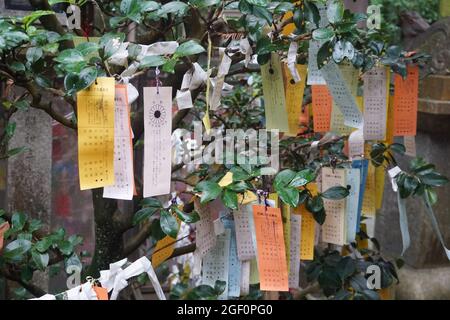 Omikuji Namba Yasaka in Osaka Japan Stock Photo Stock Images Stock-Bilder Stockfoto