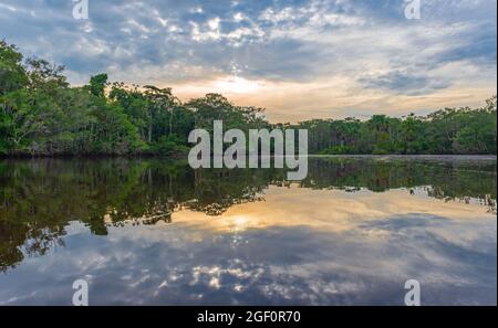 Amazonas Regenwald Lagune Sonnenuntergang Spiegelung im Panorama, Yasuni Nationalpark, Ecuador. Stockfoto