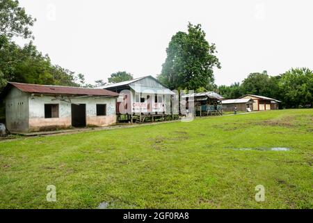 Peru, peruanische Amazonas-Landschaft. Die Foto heutige typische Indianerstämme Siedlung in Amazon Stockfoto