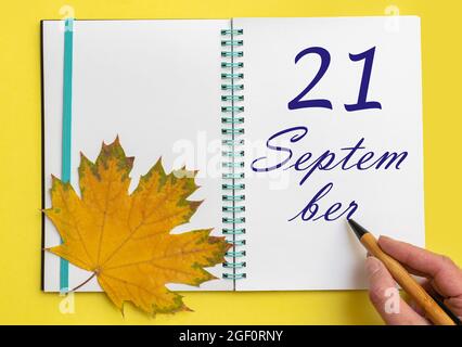 21. Tag im september. Handschriftlich das Datum 21. september in einem offenen Notizbuch mit einem schönen natürlichen Ahornblatt auf gelbem Hintergrund. Herbstmonat Stockfoto