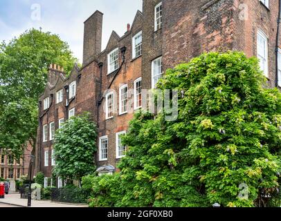 LONDON LINCOLN'S INN FELDER NEUE QUADRATISCHE GEBÄUDE LAW KAMMERN UND GROSSE GLYZINIE BAUM KLETTERER AN DER WAND Stockfoto