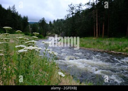 Button Rock Preserve River Foto Stockfoto