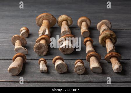 Steinpilze oder weiße Pilze auf einem Holztisch. Stockfoto