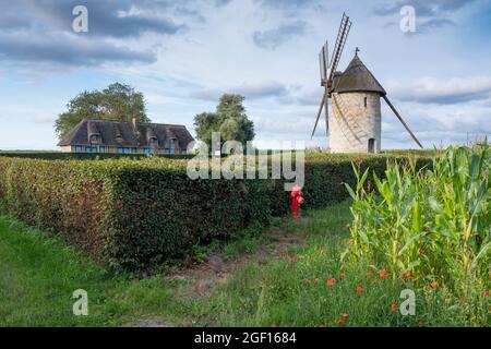 Alte Windmühle und traditioneller Bauernhof in der französischen normandie unter blauem Sommerhimmel Stockfoto