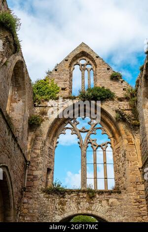 Eine vertikale Aufnahme einer ruinierten Kirche von Abbaye de Beauport in Paimpol, Departement Cotes-d'Armor, Bretagne, Nordwestfrankreich Stockfoto