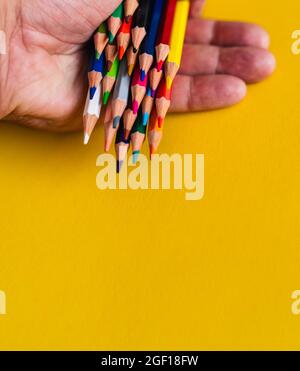 Hand hält verschiedene farbige Holzstifte auf einem gelben Hintergrund mit Kopierraum und Back-to-School-Konzept Stockfoto
