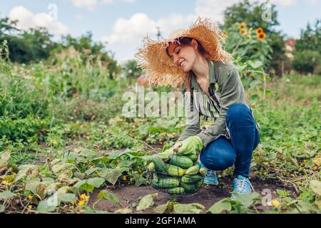 Glückliche Frau Bauer Ernte Gurken im Garten. Junger Gärtner pflückt Gemüse im Korb. Anbau von gesunden Lebensmitteln auf einem kleinen Bauernhof Stockfoto